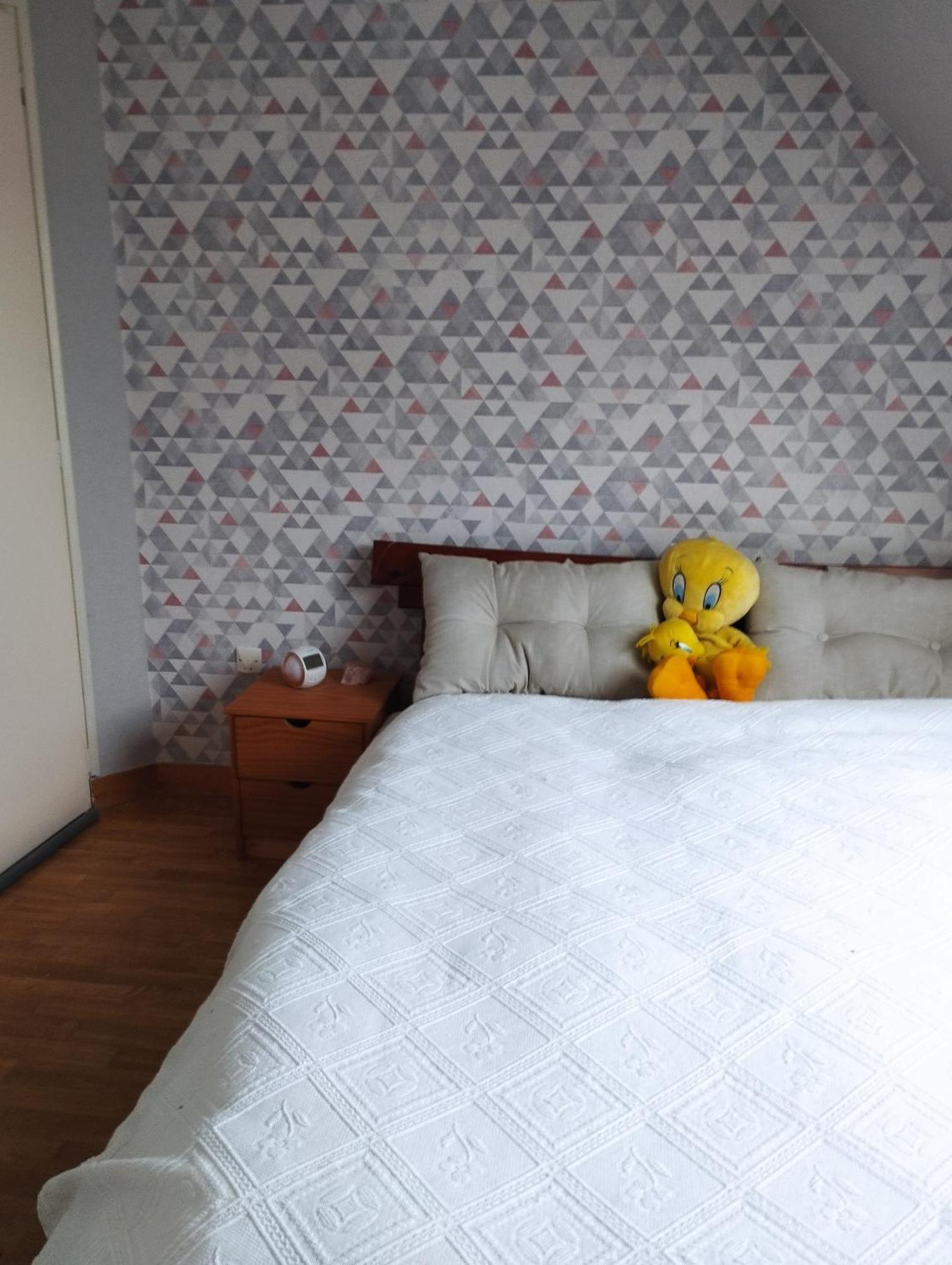 Apartament Les Mesanges Bleues Saint-Jouan-de-l'Isle Zewnętrze zdjęcie